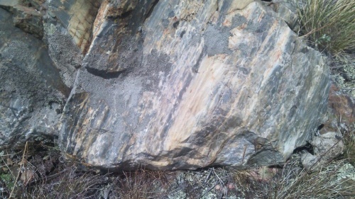 Гигантские зелёные валуны для ландшафтного дизайна весом более 5 тонн купить в Оренбургской области